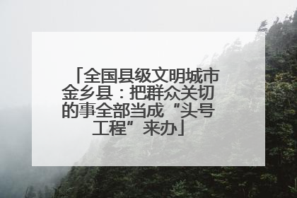 全国县级文明城市金乡县：把群众关切的事全部当成“头号工程”来办